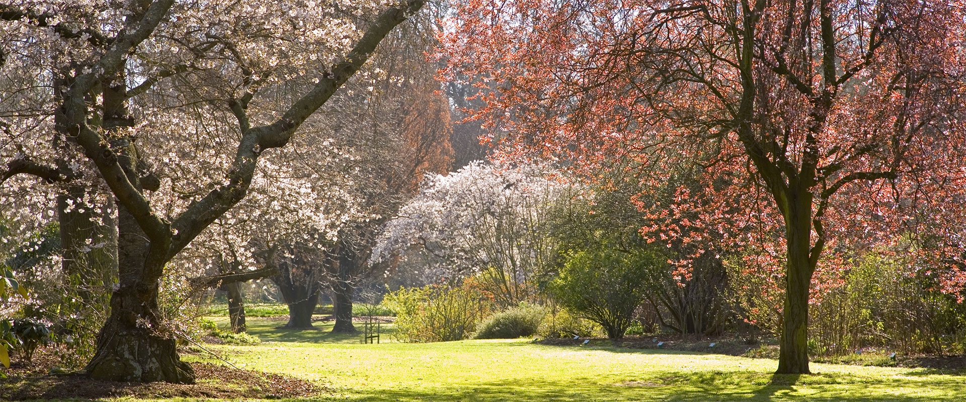 things to do in Christchurch